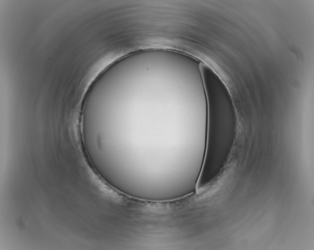 X0000111480901200907141040