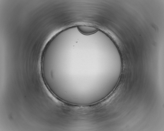 X0000111480902200907141040
