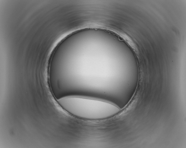 X0000111480904200907141040