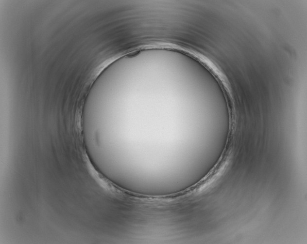 X0000111480905200907141040