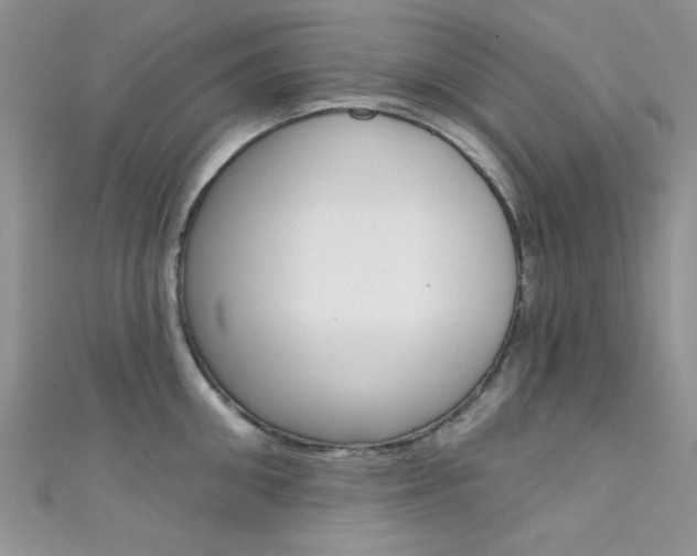 X0000111480906200907141040