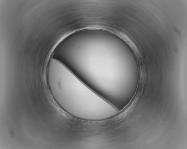 X0000111480908200907141040