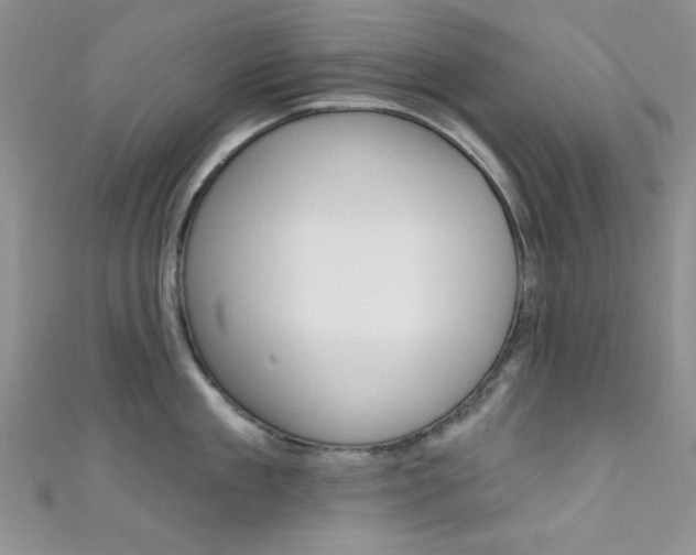 X0000111480909200907141040