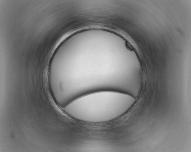 X0000111480911200907141040