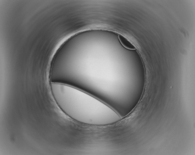 X0000111480912200907141040