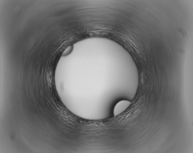 X0000111480915200907141039