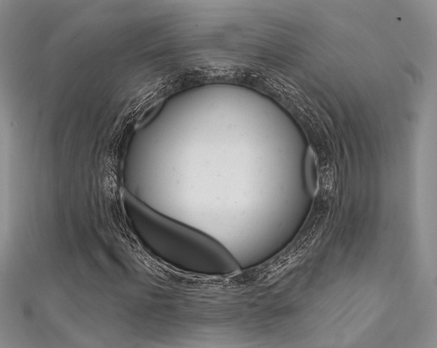 X0000111480916200907141039