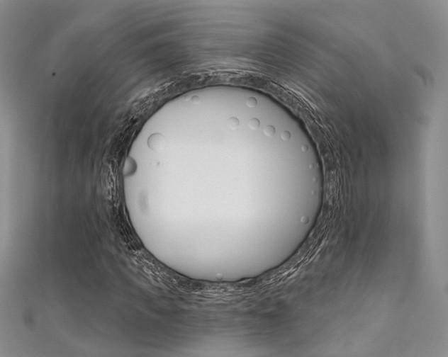 X0000111480917200907141039