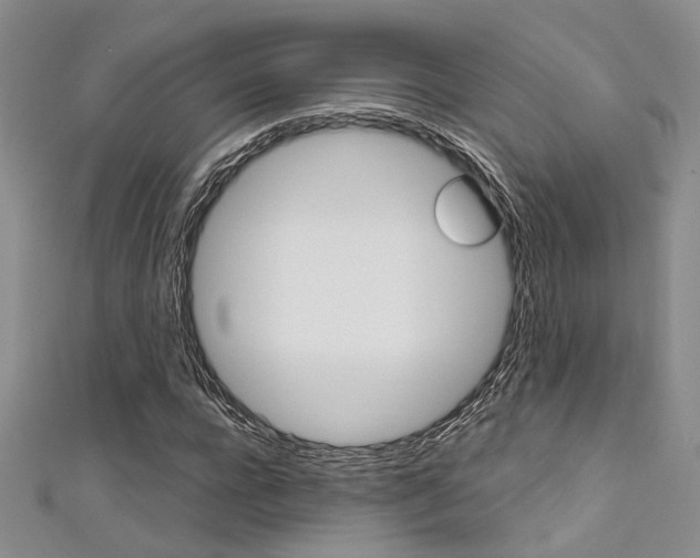 X0000111480920200907141040