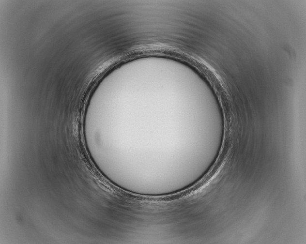 X0000111480921200907141040