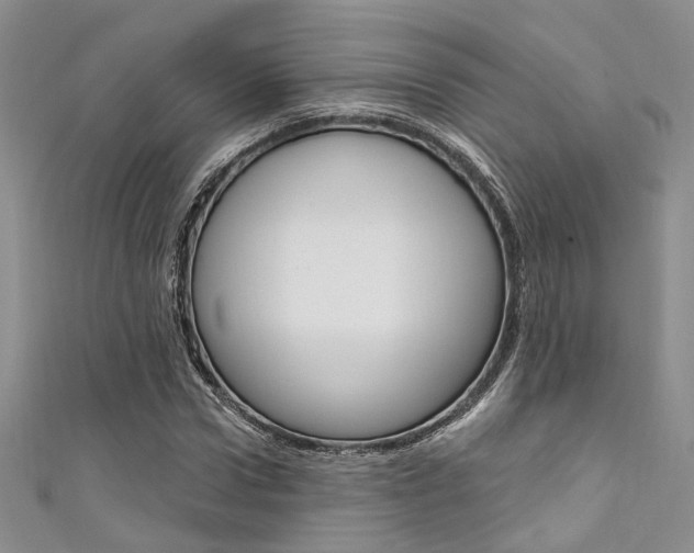 X0000111480922200907141040