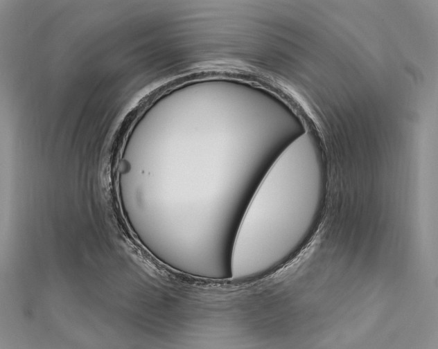 X0000111480923200907141040