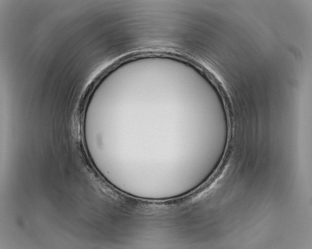 X0000111480925200907141040