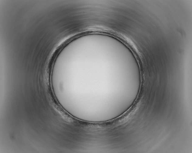 X0000111480931200907141040
