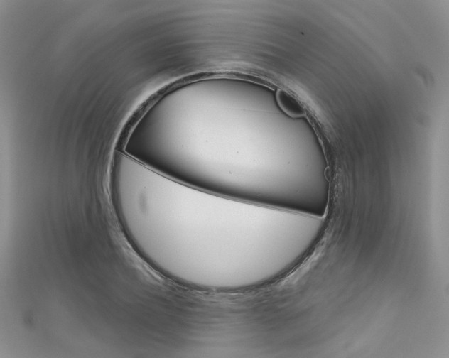 X0000111480932200907141040