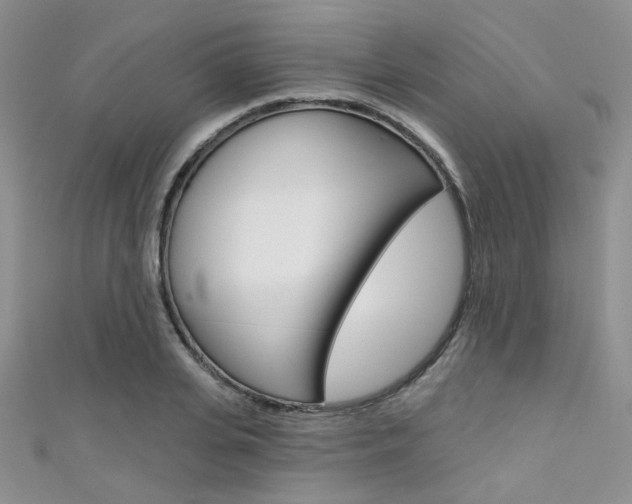 X0000111480935200907141040