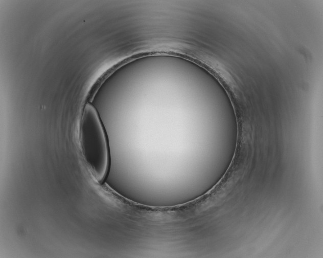 X0000111480936200907141040