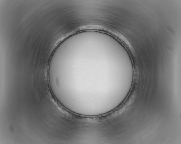 X0000111480937200907141040