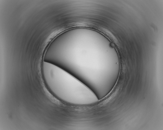 X0000111480938200907141040