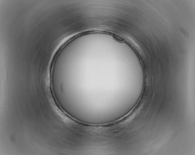 X0000111480940200907141040
