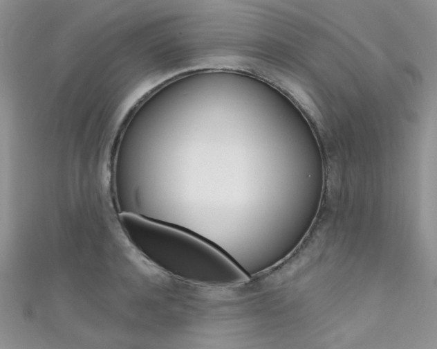 X0000111480944200907141040