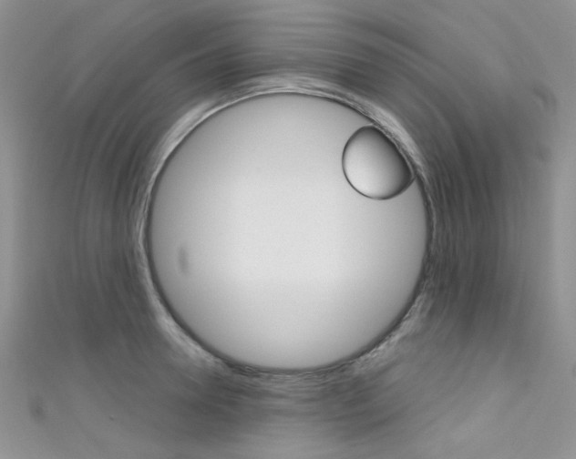 X0000111480946200907141040