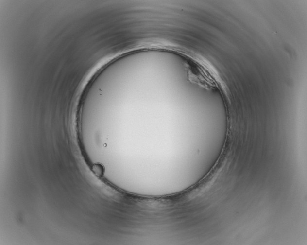 X0000111480947200907141040