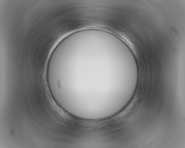 X0000111480948200907141040
