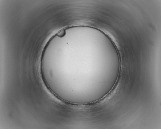 X0000111480949200907141040