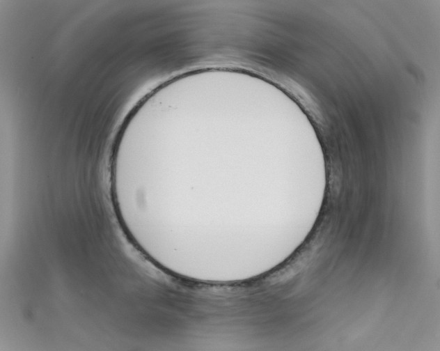 X0000111480950200907141040