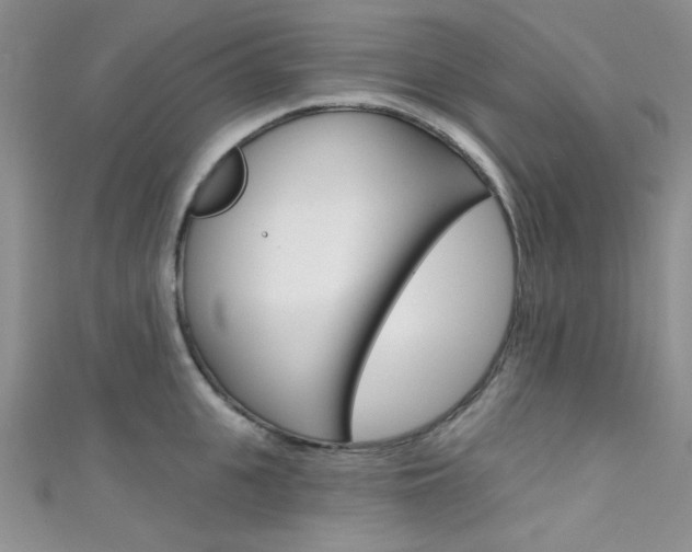 X0000111480951200907141040