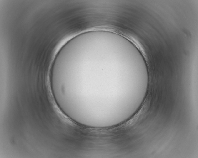 X0000111480952200907141040