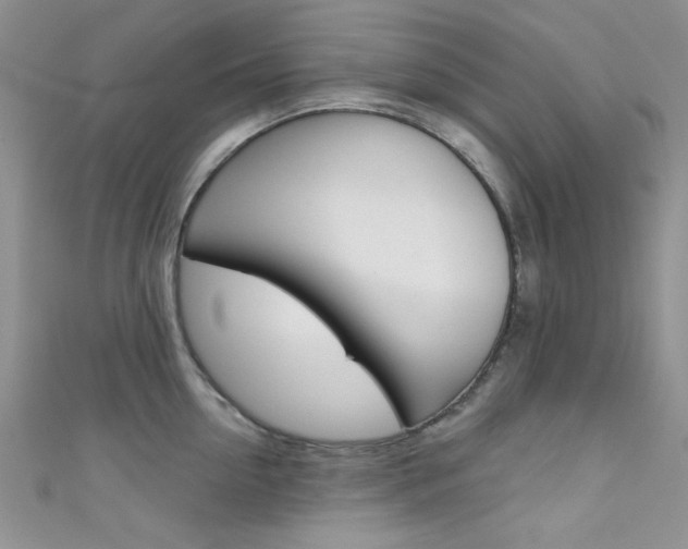 X0000111480954200907141040