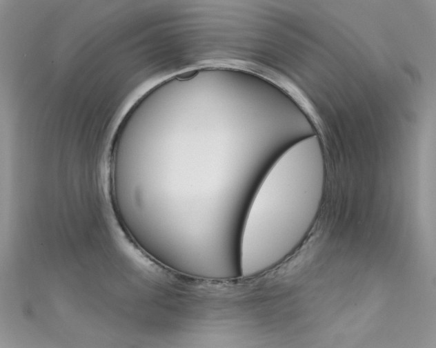 X0000111480955200907141040