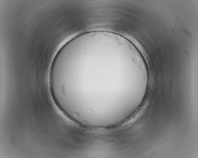X0000111480957200907141040