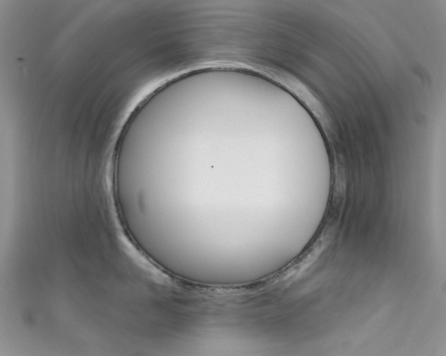 X0000111480958200907141040