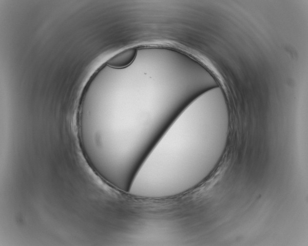 X0000111480959200907141040