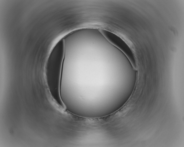 X0000111480960200907141040