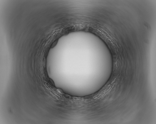 X0000111480961200907141039