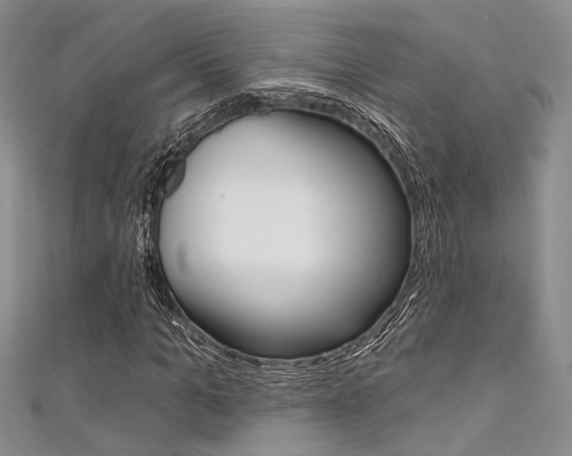 X0000111480965200907141039