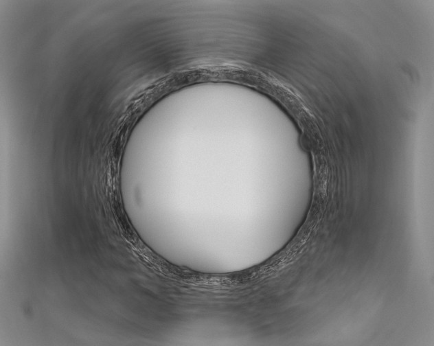 X0000111480966200907141039