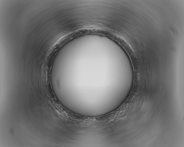 X0000111480968200907141039