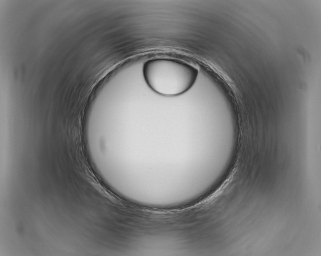 X0000111480969200907141039