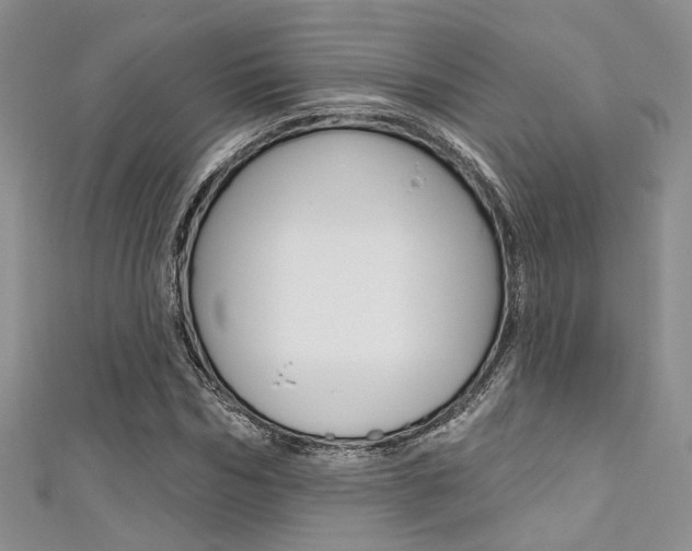 X0000111480970200907141039