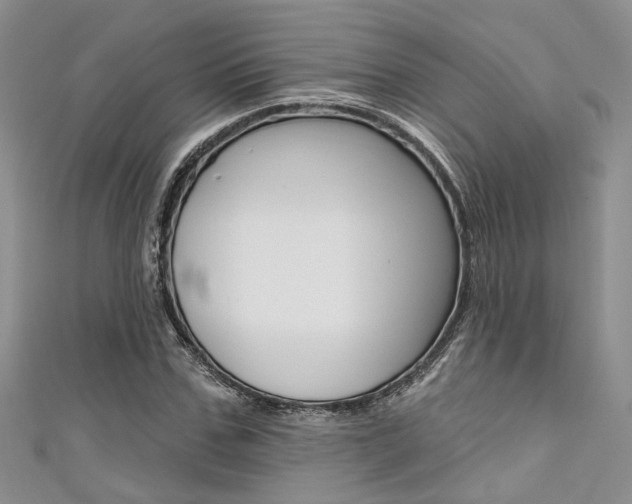 X0000111480971200907141039