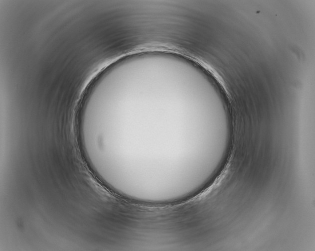 X0000111480973200907141039