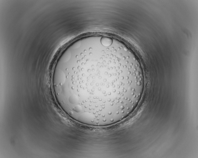 X0000111480974200907141039