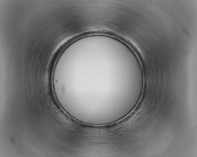 X0000111480975200907141039