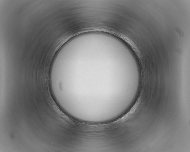 X0000111480977200907141039