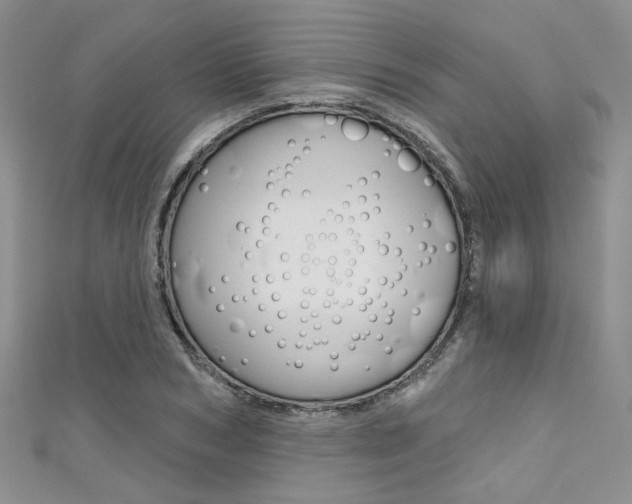 X0000111480978200907141039